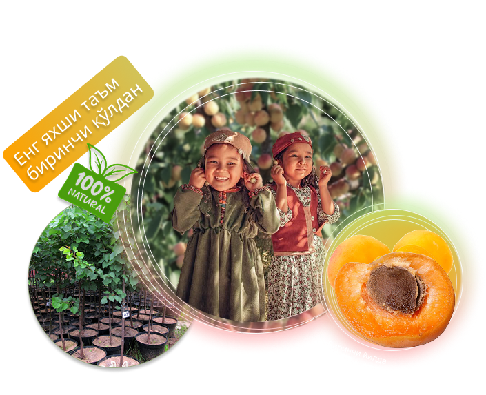 Заголовок