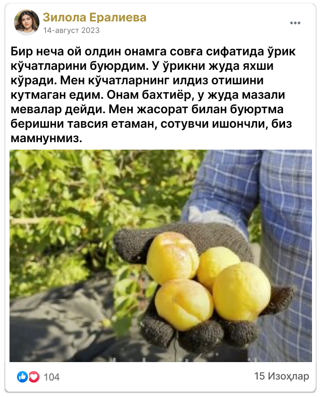 Заголовок